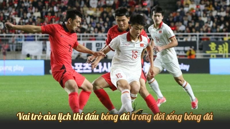Vai trò của lịch thi đấu bóng đá trong đời sống bóng đá